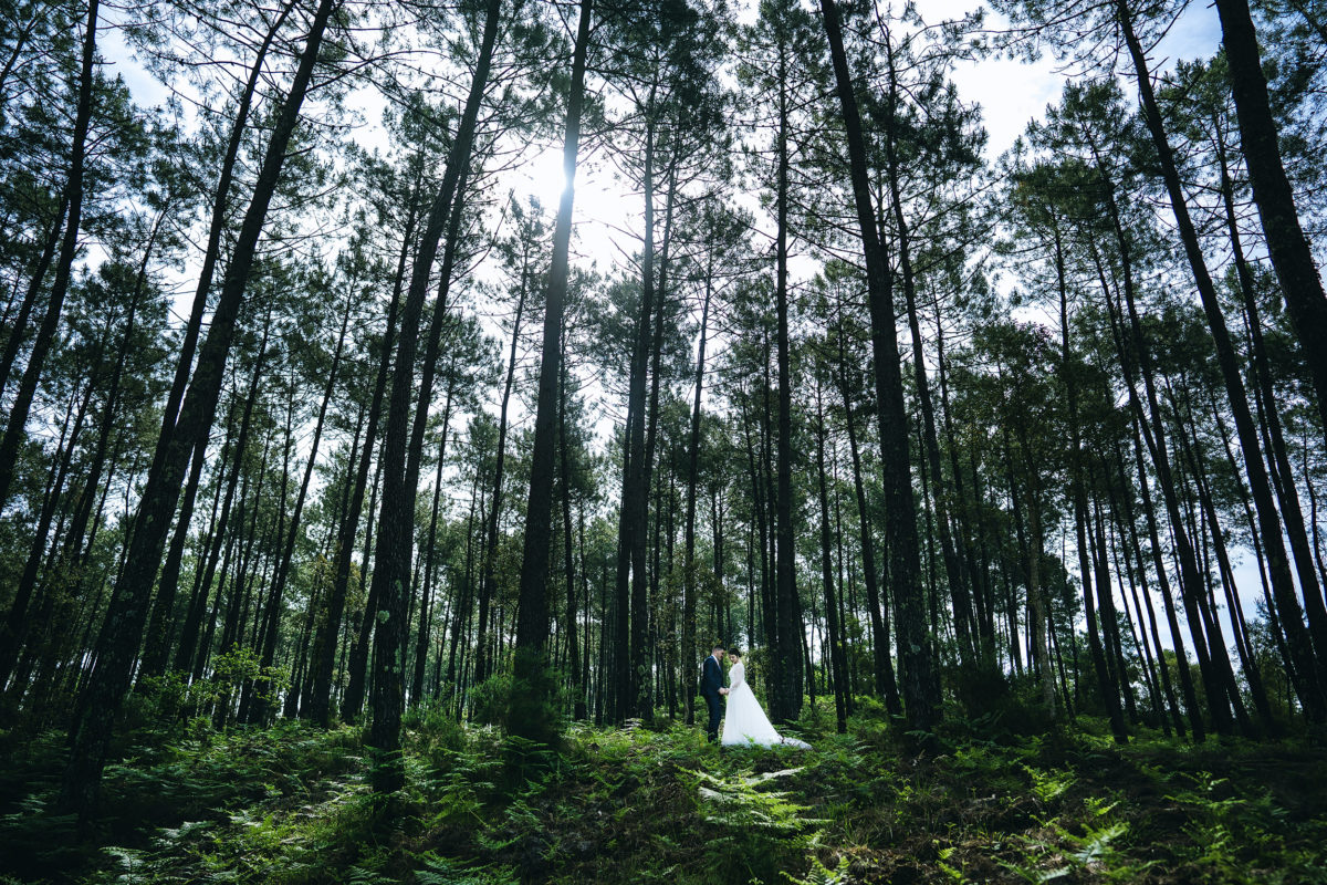Stéphane Amelinck | Photographe de mariage dans le sud ouest