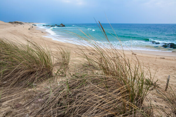 Stéphane Amelinck | Photographe à Capbreton