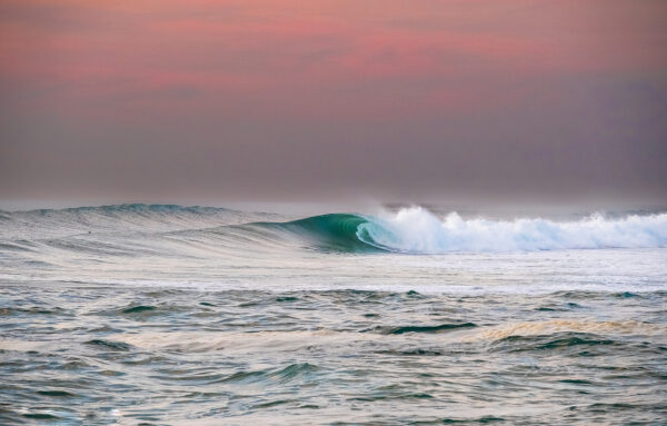 Stéphane Amelinck | Photographe à Capbreton