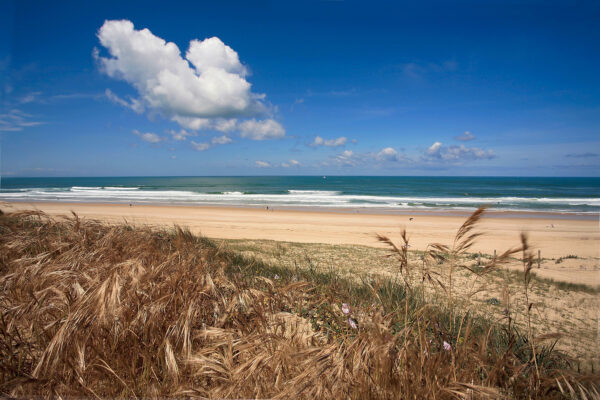 Stéphane Amelinck | Photographe à Ondres, Landes (40)