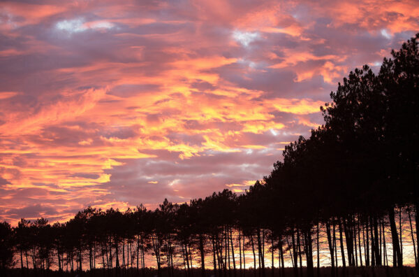Stéphane Amelinck | Photographe à Ondres, Landes (40)