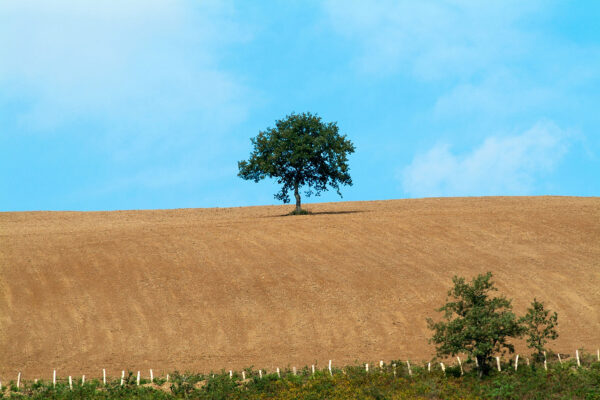 Stéphane Amelinck | Photographe à Saint pierre d’irube, Pays Basque (64)