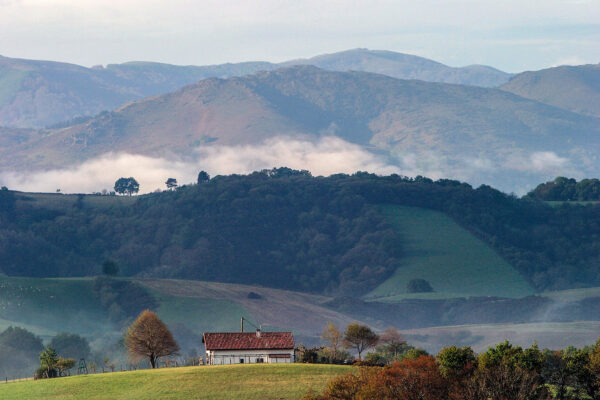 Stéphane Amelinck | Photographe à Saint pierre d’irube, Pays Basque (64)