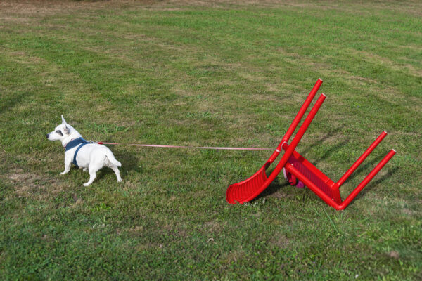 Stéphane Amelinck - Photographe Landes, Pays Basque & Béarn